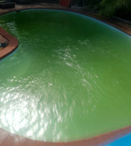 green pools