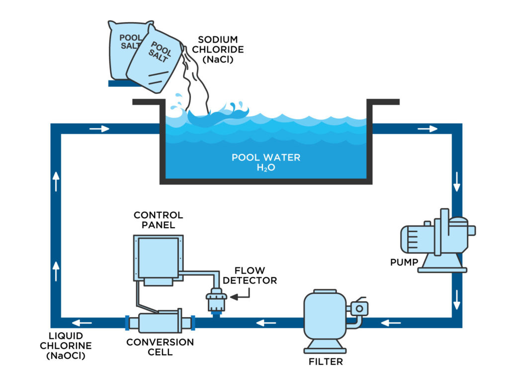 Pool Diagram Saltwater