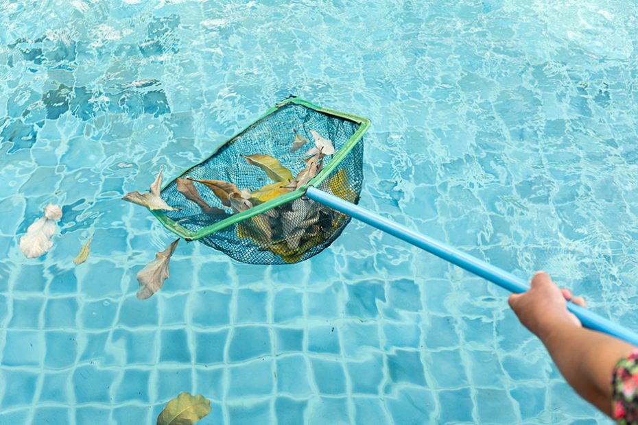 Seasonal Saltwater Pool Care Getting Leave Out In Autumn