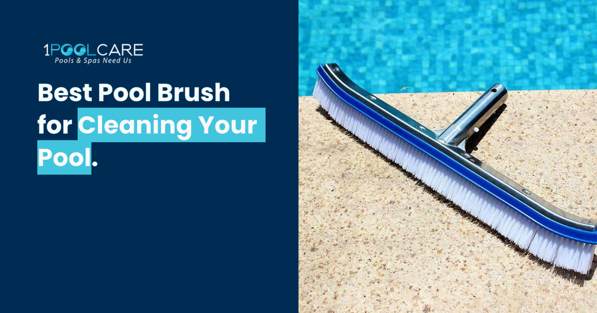 Best Pool Brush for Cleaning Your Pool