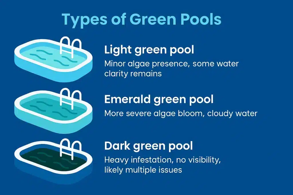 Types Of Green Pools 1024x683
