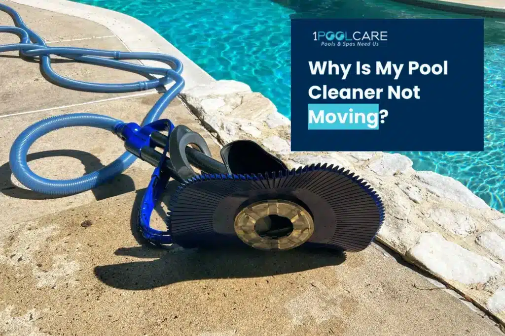 Pool Cleaner Not Moving 1024x683