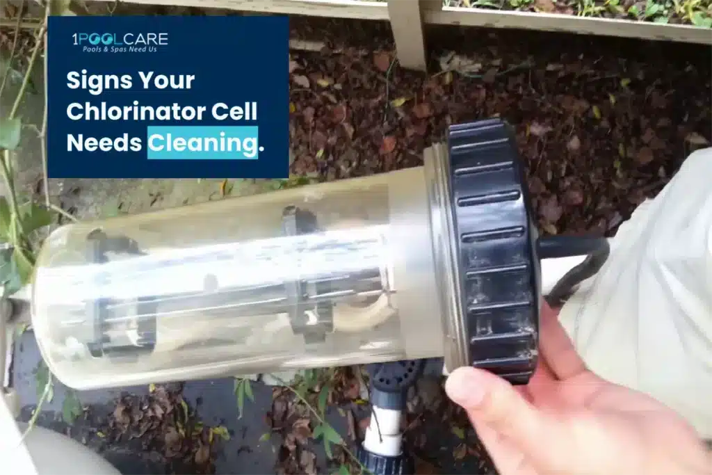 Signs Your Chlorinator Cell Needs Cleaning 1024x683